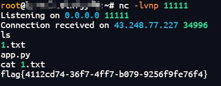 image-20251111233615270