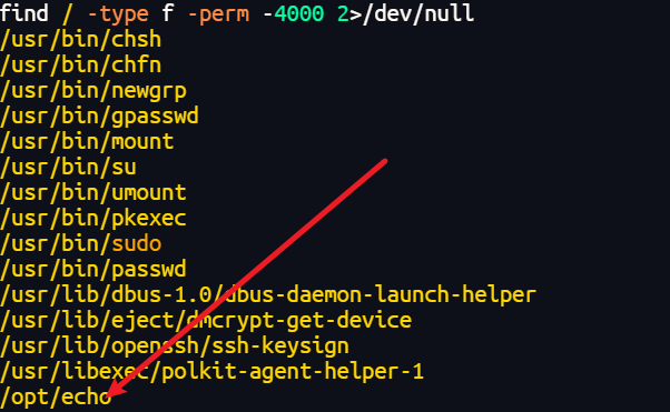 image-20251128205529676