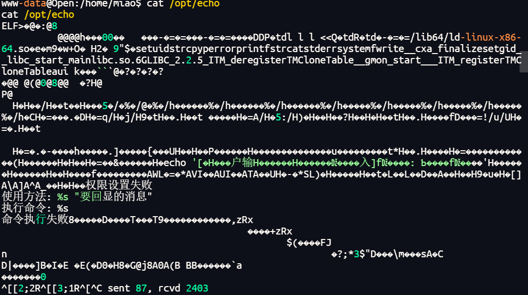 image-20251128205616119