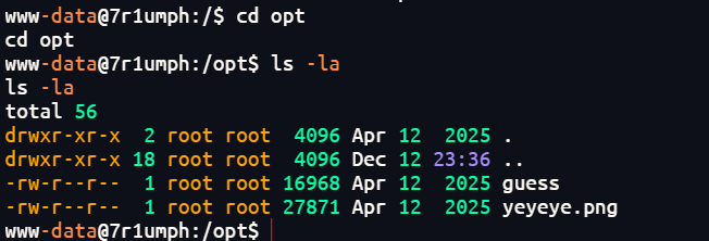 image-20251213181752952