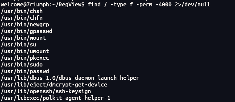 image-20251213184605556