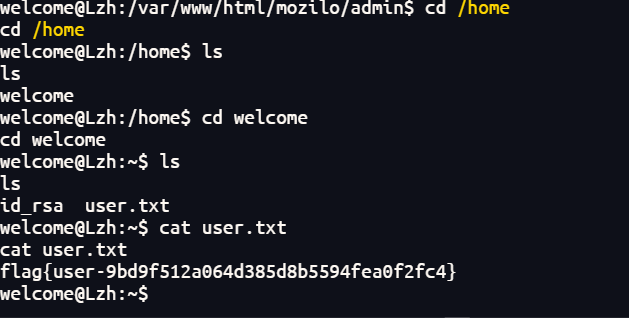 image-20251214163726857