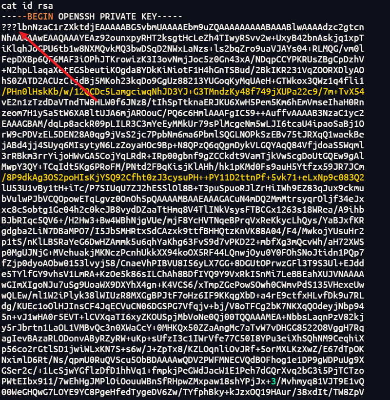 image-20251214164130494