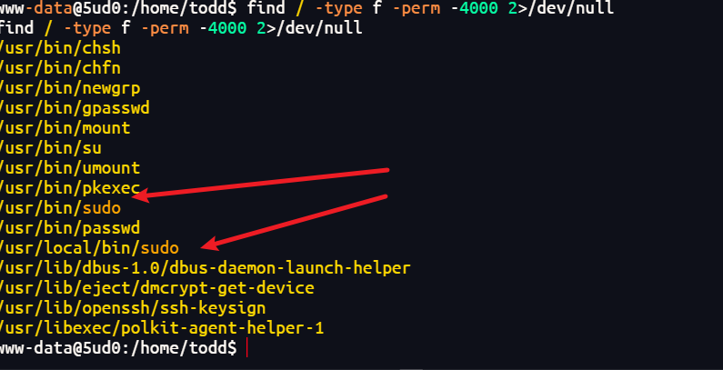 image-20251220151002753