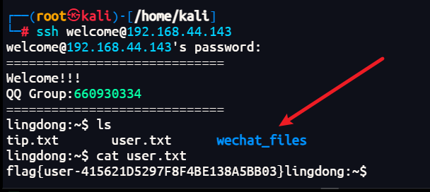 image-20251221192850708