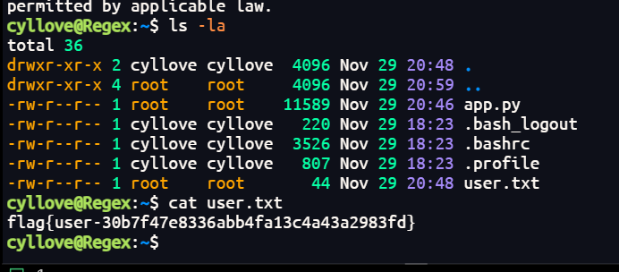 image-20251221202757561