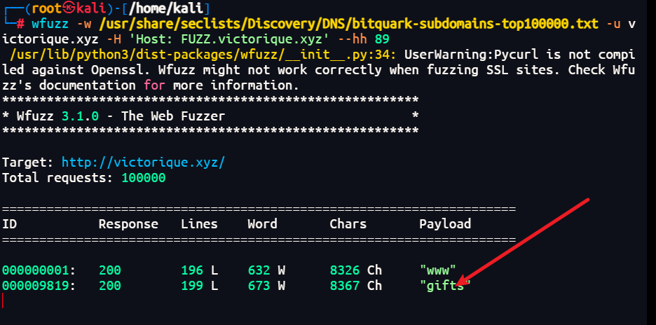 image-20251224150859292