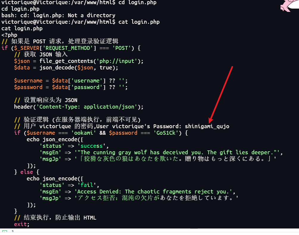 image-20251224181915574
