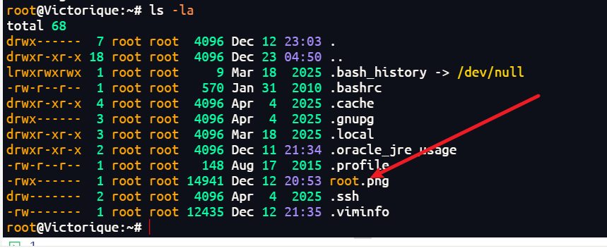 image-20251224204237075